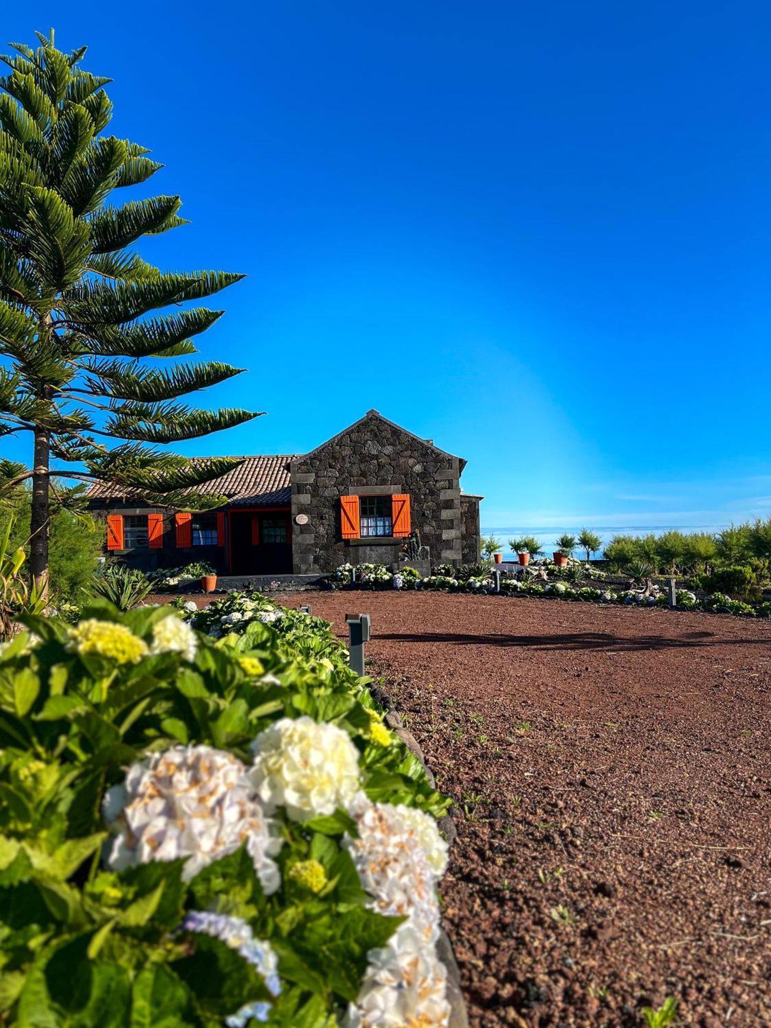 Casa Baleia Laranja Ocean-Front Villa Madalena  Eksteriør billede